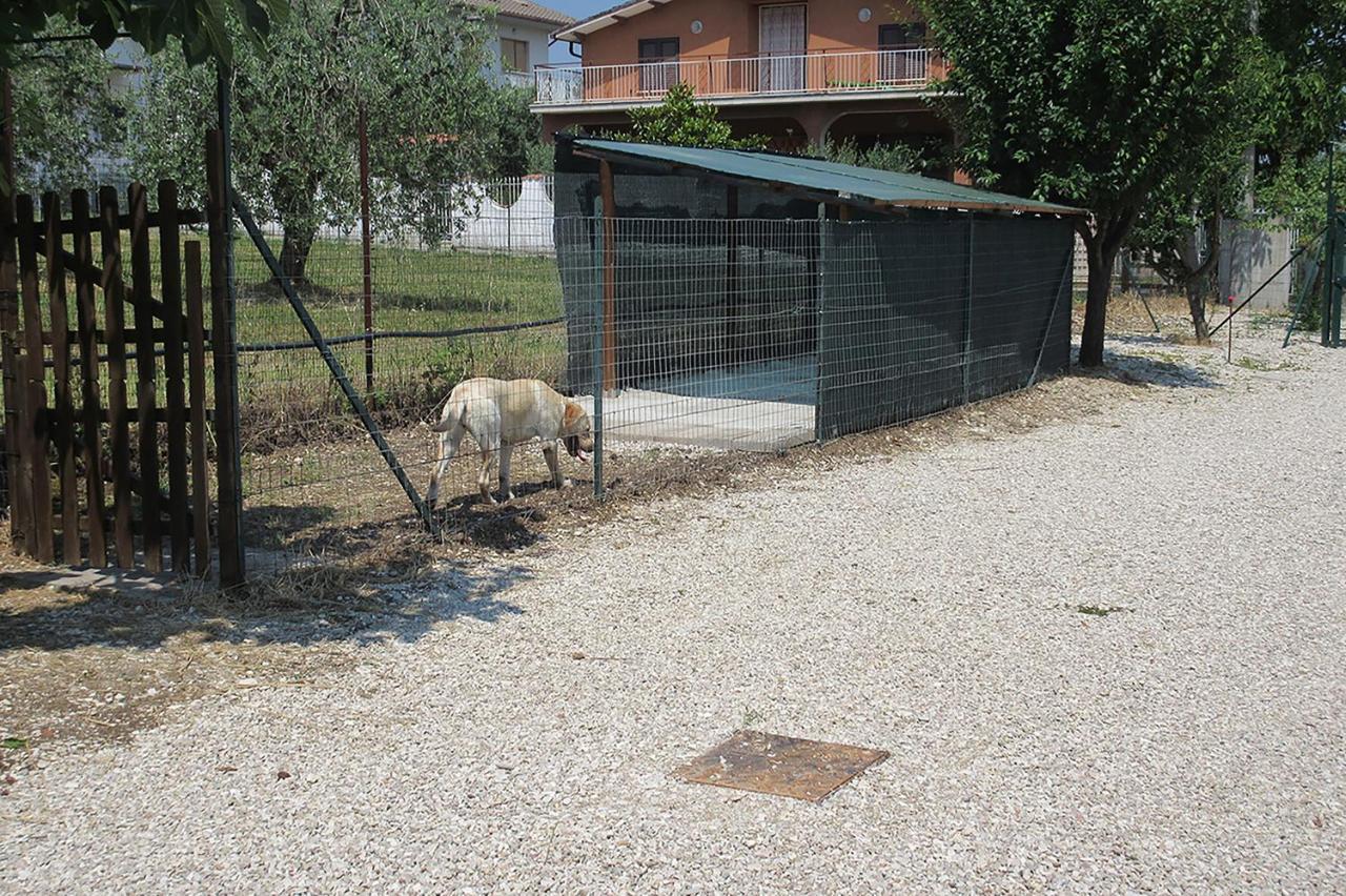 Villa Degli Ulivi Lempa Exteriér fotografie
